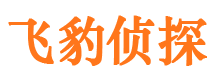 勉县侦探调查公司